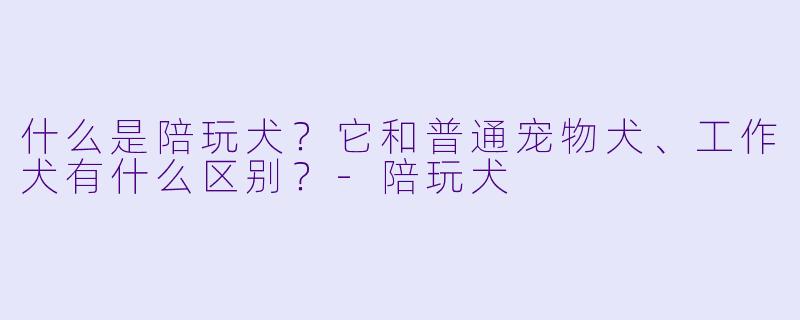 什么是陪玩犬?它和普通宠物犬、工作犬有什么区别?-陪玩犬