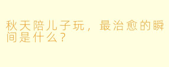秋天陪儿子玩，最治愈的瞬间是什么？