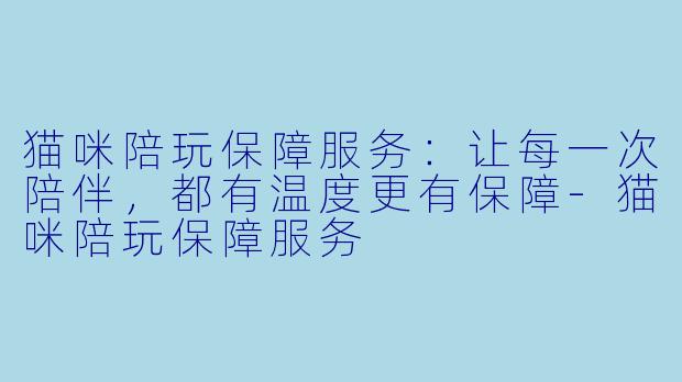 猫咪陪玩保障服务:让每一次陪伴,都有温度更有保障-猫咪陪玩保障服务