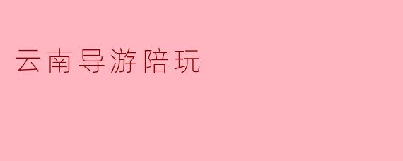云南导游陪玩