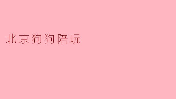 北京狗狗陪玩