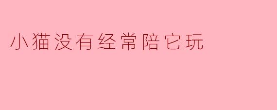 小猫没有经常陪它玩