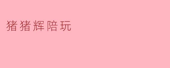 猪猪辉陪玩