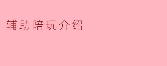 辅助陪玩介绍