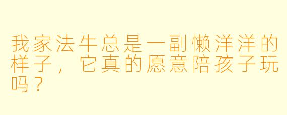 我家法牛总是一副懒洋洋的样子,它真的愿意陪孩子玩吗?