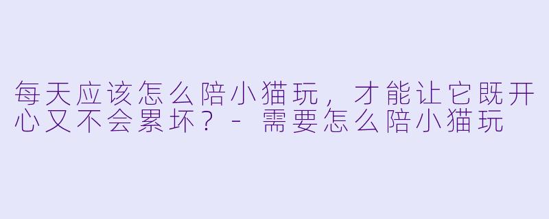 每天应该怎么陪小猫玩，才能让它既开心又不会累坏？-需要怎么陪小猫玩